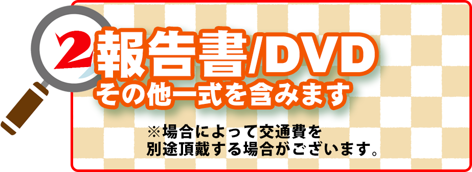 報告書・DVD一式